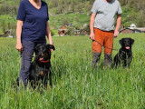 Club Suisse des Amis du Beauceron (CSAB)