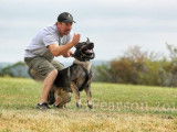 German Shepherd Schutzhund Club of Canada (GSSCC)