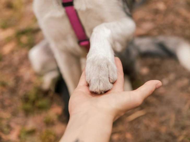 Centre Can'ain et Fél'ain