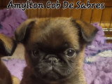 De Sabres