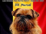 De Sabres