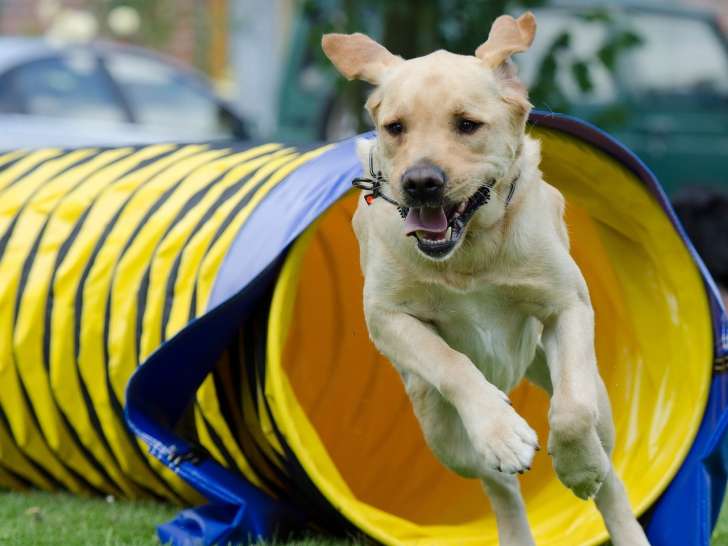 Amicalement éduqué