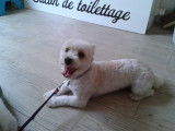 Tif'Truffe