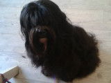 Tif'Truffe