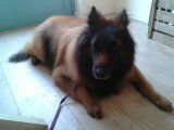 Tif'Truffe