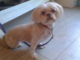 Tif'Truffe