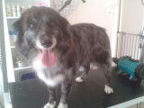 Tif'Truffe