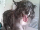 Tif'Truffe