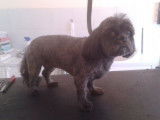 Tif'Truffe
