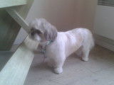 Tif'Truffe