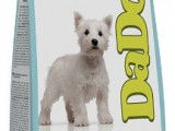 Dog Attitude