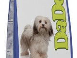 Dog Attitude