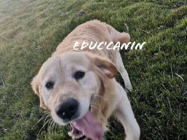 Educ'canin