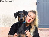 Dog Control