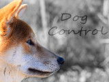 Dog Control