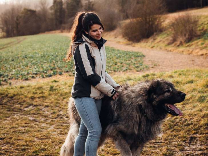 Savoir écouter son chien