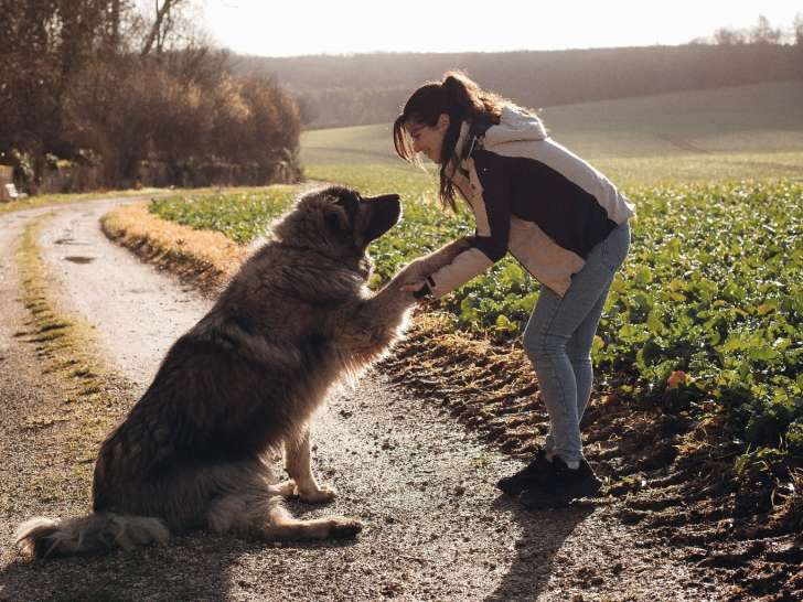 Savoir &eacute;couter son chien