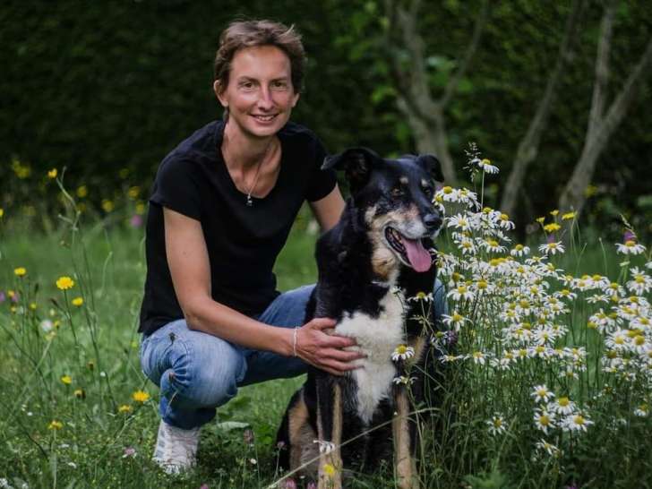 Éducation canine 14