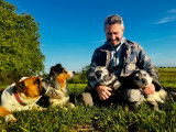 Temps 2 Chiens