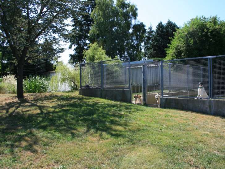 École du chien et du chiot