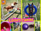 Sports et Loisirs Canins
