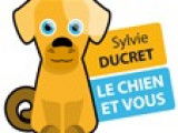 Le chien et vous