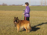 La Classe Canine