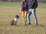 La Classe Canine
