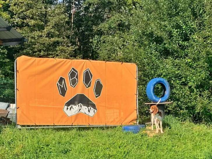 Mont-Blanc Dog Center