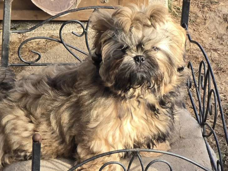 Du Val De La Salamandre