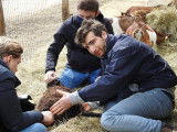 Ecole Française d'Ostéopathie Animale (EFOA)
