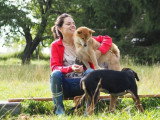 Bien avec son chien