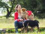 Bien avec son chien