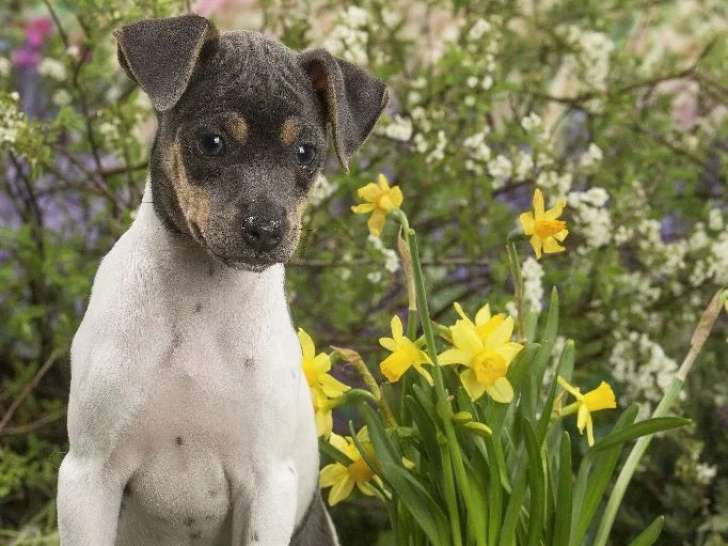 Du Domaine Des Mandets