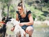 Dog Serenity