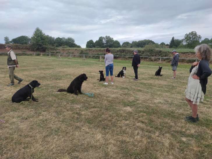 Centre canin la Faye