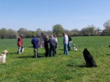 Centre canin la Faye