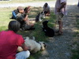 Centre canin la Faye