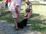 Centre canin la Faye
