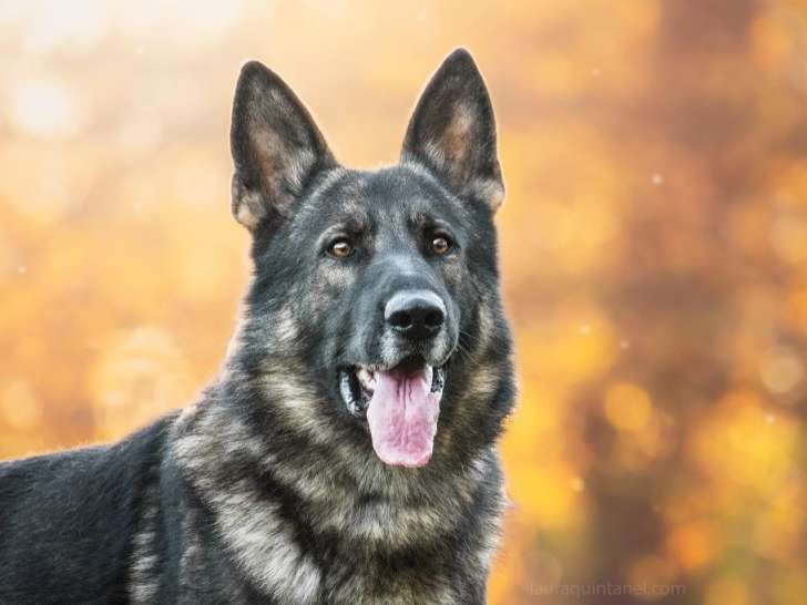 De la Roche Saint-Secret