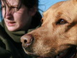 Vision de chien