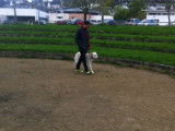 La Compagnie Canine