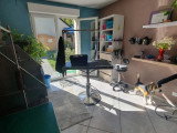 Esthety chien