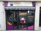 Amour Canin