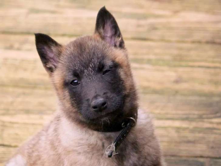 Du Domaine de Vauroux