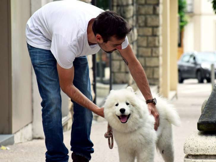 Educateur Canin Comportementaliste Besan&ccedil;on