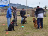 Centre Manosquin d'Education Canine