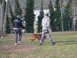 Centre Manosquin d'Education Canine