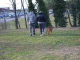 Centre Manosquin d'Education Canine