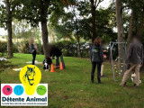 Détente Animal